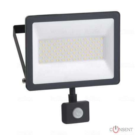 MUREVA LED REFL.50W MOZG.4000K IP65